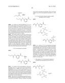 Lithographic Printing Plate Precursor diagram and image