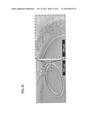 APPARATUS AND METHOD FOR SUSPENSION WICKING OF NANOPARTICLES INTO     MICROCHANNELS diagram and image