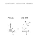 METHOD FOR ELECTROCHEMICALLY DETECTING ANALYTE diagram and image