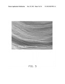 METHOD FOR MAKING CARBON NANOTUBE SLURRY diagram and image