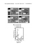 Methods for the Production of Nanoscale Heterostructures diagram and image