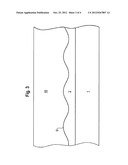 MESH STRUCTURE FOR SURFACE PLASMON RESONANCE SPECTROSCOPY diagram and image