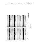 DEVICES AND METHODS FOR FORMING NON-SPHERICAL PARTICLES diagram and image