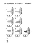 LASER CHARACTERIZATION SYSTEM AND PROCESS diagram and image