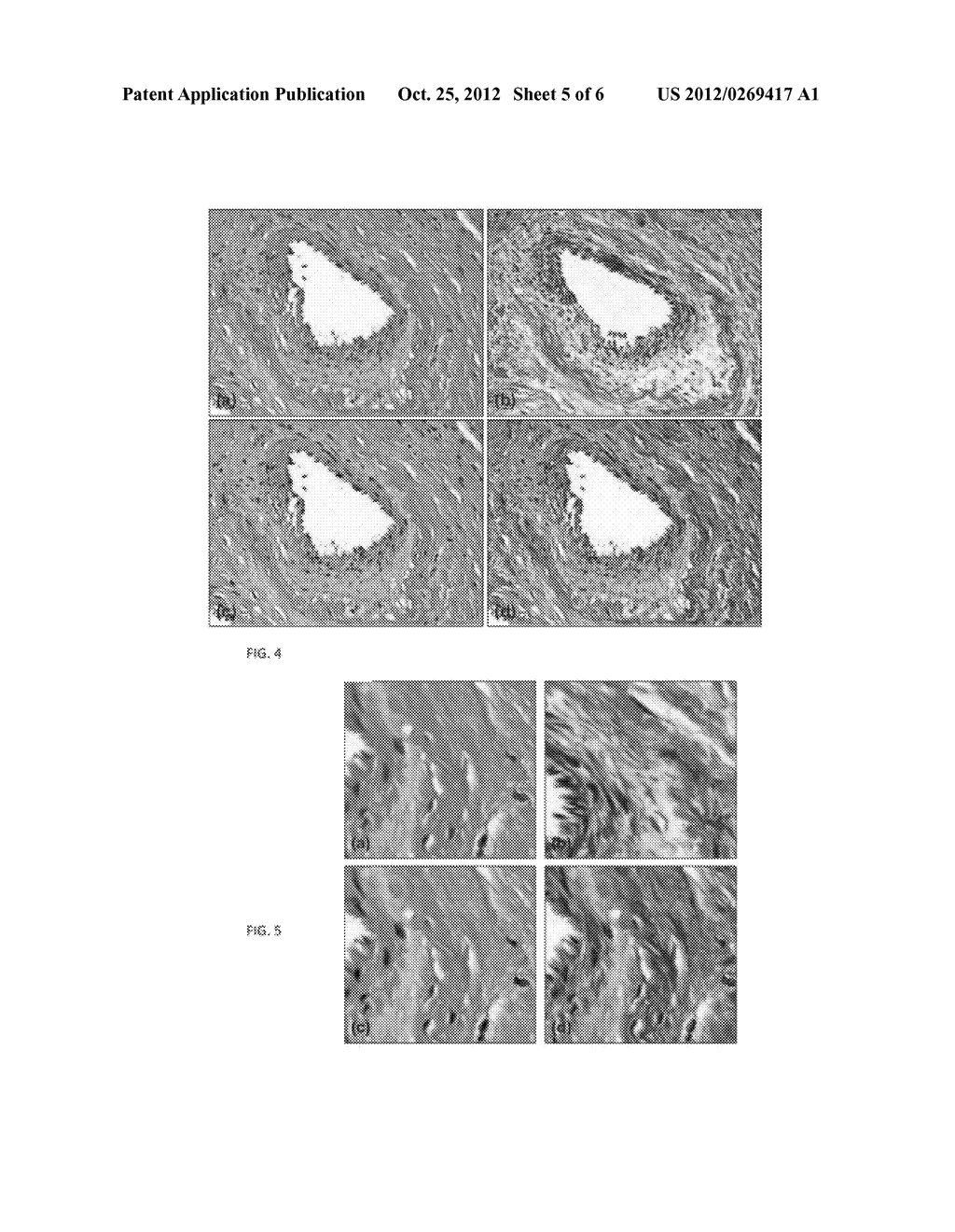 COMPUTER-AIDED STAINING OF MULTISPECTRAL IMAGES - diagram, schematic, and image 06