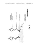 TARGETED NANOCLUSTERS AND METHODS OF THEIR USE diagram and image