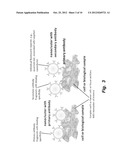 TARGETED NANOCLUSTERS AND METHODS OF THEIR USE diagram and image