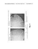 TARGETED NANOCLUSTERS AND METHODS OF THEIR USE diagram and image