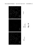 TARGETED NANOCLUSTERS AND METHODS OF THEIR USE diagram and image