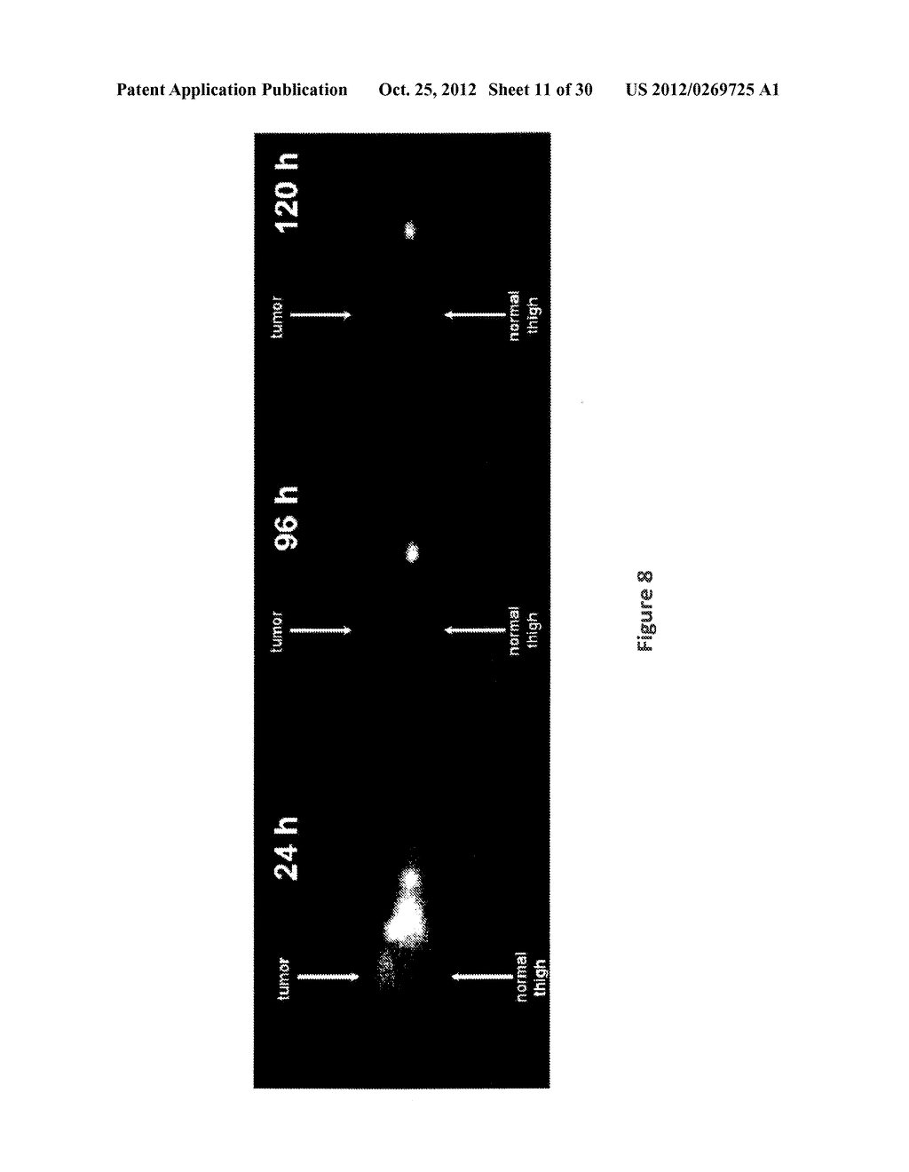 TARGETED RADIOLABELED COMPOUNDS AND THEIR USE FOR THE TREATMENT AND     DIAGNOSIS OF CANCER - diagram, schematic, and image 12