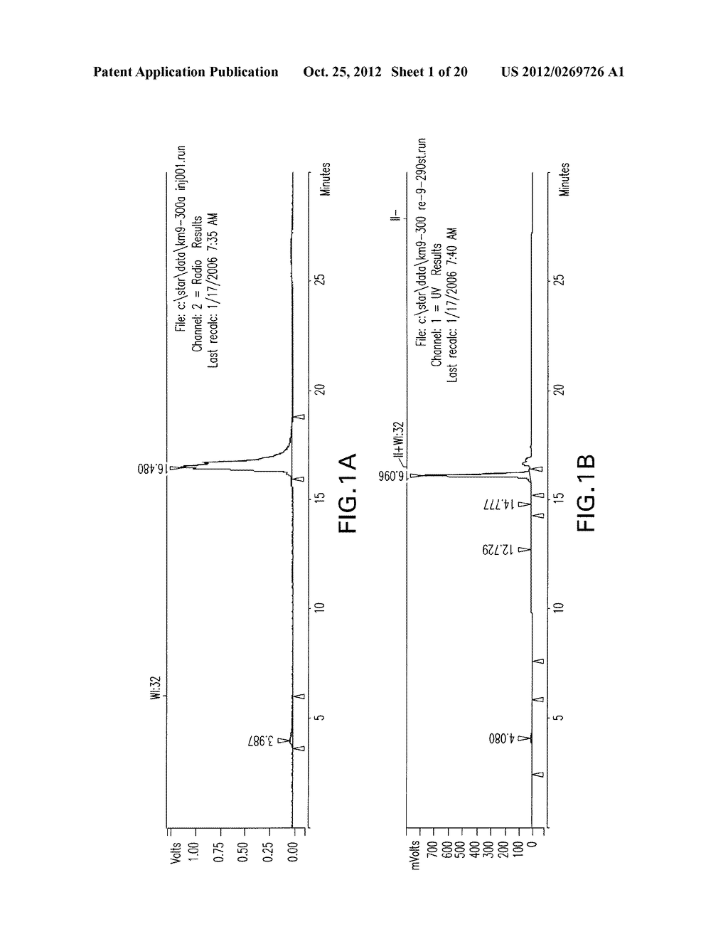 Heterodimers of Glutamic Acid - diagram, schematic, and image 02