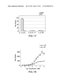 Heterodimers of Glutamic Acid diagram and image