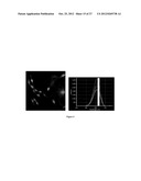 Imaging Beta-Amyloid Peptides and Inhibition of Beta-Amyloid Peptide     Aggregation diagram and image