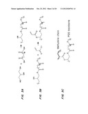 BIODEGRADABLE ELASTOMERS diagram and image