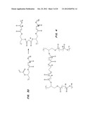 BIODEGRADABLE ELASTOMERS diagram and image