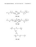 BIODEGRADABLE ELASTOMERS diagram and image