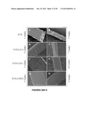 BIODEGRADABLE ELASTOMERS diagram and image