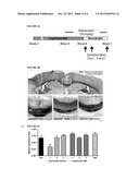 CAUSAL THERAPY OF DISEASES OR CONDITIONS ASSOCIATED WITH CNS OR PNS     DEMYELINATION diagram and image