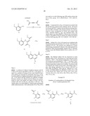 Hepatitis C Inhibitor Compounds diagram and image