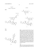 Hepatitis C Inhibitor Compounds diagram and image