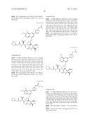 Hepatitis C Inhibitor Compounds diagram and image