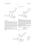 Hepatitis C Inhibitor Compounds diagram and image