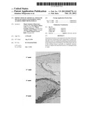 PRODUCTIONS OF ARTIFICIAL TISSUES BY MEANS OF TISSUE ENGINEERING USING     AGAROSE-FIBRIN BIOMATERIALS diagram and image