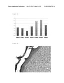 PRODUCTIONS OF ARTIFICIAL TISSUES BY MEANS OF TISSUE ENGINEERING USING     AGAROSE-FIBRIN BIOMATERIALS diagram and image