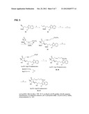 COMPOSITIONS AND IMPROVED SOFT TISSUE REPLACEMENT METHODS diagram and image