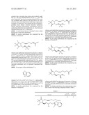 COMPOSITIONS AND IMPROVED SOFT TISSUE REPLACEMENT METHODS diagram and image