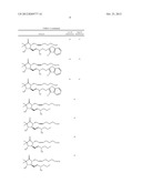 COMPOSITIONS AND IMPROVED SOFT TISSUE REPLACEMENT METHODS diagram and image