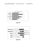 USE OF PLANT EXTRACTS AS PREBIOTICS, COMPOSITIONS AND FOODS CONTAINING     SUCH EXTRACT diagram and image