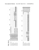 ENHANCEMENT OF REGENERATION BY MODULATION OF NOTUM ACTIVITY diagram and image