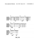 HUMANIZED FC GAMMA RIIB-SPECIFIC ANTIBODIES AND METHODS OF USE THEREOF diagram and image