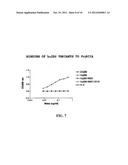 HUMANIZED FC GAMMA RIIB-SPECIFIC ANTIBODIES AND METHODS OF USE THEREOF diagram and image