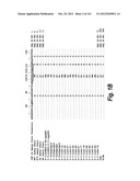 MONOSPECIFIC AND BISPECIFIC ANTI-IGF-1R AND ANTI-ERBB3 ANTIBODIES diagram and image