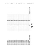 MONOSPECIFIC AND BISPECIFIC ANTI-IGF-1R AND ANTI-ERBB3 ANTIBODIES diagram and image