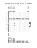 MONOSPECIFIC AND BISPECIFIC ANTI-IGF-1R AND ANTI-ERBB3 ANTIBODIES diagram and image