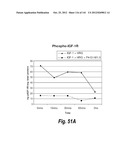 MONOSPECIFIC AND BISPECIFIC ANTI-IGF-1R AND ANTI-ERBB3 ANTIBODIES diagram and image