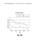 MONOSPECIFIC AND BISPECIFIC ANTI-IGF-1R AND ANTI-ERBB3 ANTIBODIES diagram and image