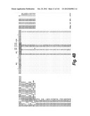 MONOSPECIFIC AND BISPECIFIC ANTI-IGF-1R AND ANTI-ERBB3 ANTIBODIES diagram and image