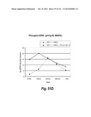 MONOSPECIFIC AND BISPECIFIC ANTI-IGF-1R AND ANTI-ERBB3 ANTIBODIES diagram and image