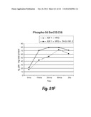 MONOSPECIFIC AND BISPECIFIC ANTI-IGF-1R AND ANTI-ERBB3 ANTIBODIES diagram and image