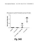 MONOSPECIFIC AND BISPECIFIC ANTI-IGF-1R AND ANTI-ERBB3 ANTIBODIES diagram and image