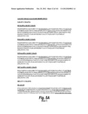 MONOSPECIFIC AND BISPECIFIC ANTI-IGF-1R AND ANTI-ERBB3 ANTIBODIES diagram and image