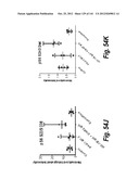 MONOSPECIFIC AND BISPECIFIC ANTI-IGF-1R AND ANTI-ERBB3 ANTIBODIES diagram and image