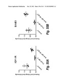 MONOSPECIFIC AND BISPECIFIC ANTI-IGF-1R AND ANTI-ERBB3 ANTIBODIES diagram and image