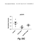 MONOSPECIFIC AND BISPECIFIC ANTI-IGF-1R AND ANTI-ERBB3 ANTIBODIES diagram and image