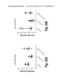 MONOSPECIFIC AND BISPECIFIC ANTI-IGF-1R AND ANTI-ERBB3 ANTIBODIES diagram and image