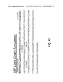 MONOSPECIFIC AND BISPECIFIC ANTI-IGF-1R AND ANTI-ERBB3 ANTIBODIES diagram and image